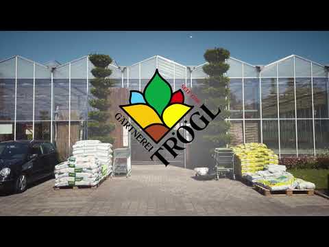 Werbevideo für Gärtnerei Trögl: Ungespritztes Gemüse